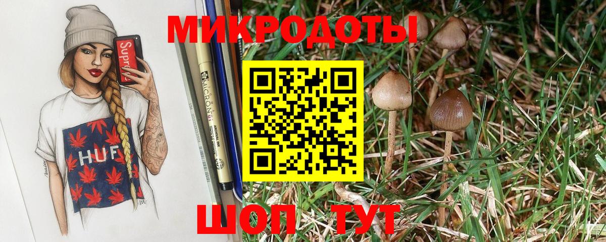 Шарыпово  Галлюциногенные грибы GOLDEN TEACHER  Вход с VPN 