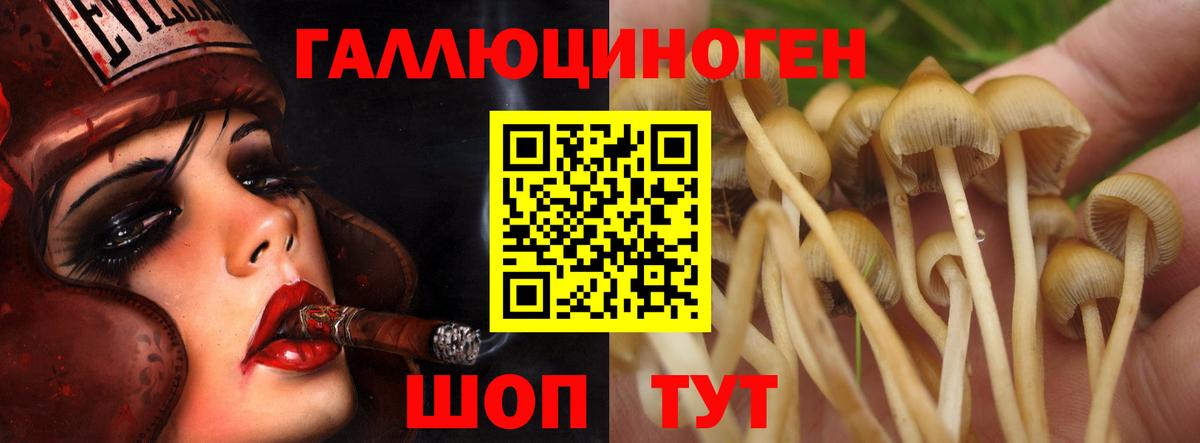 Галлюциногенные грибы мухоморы Шарыпово
